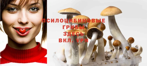 гашик Лиски