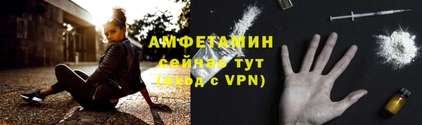 стаф Ладушкин