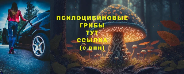 гашик Лиски