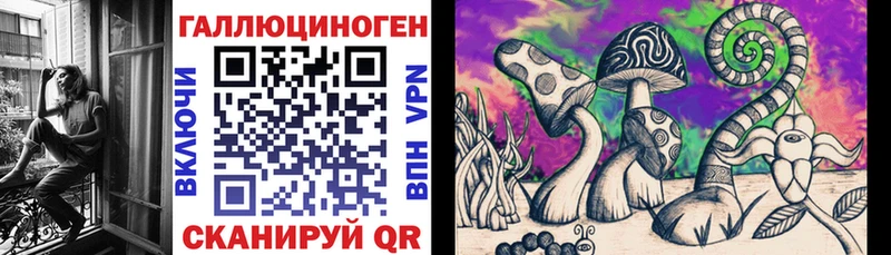 ОМГ ОМГ как зайти  это как зайти  Псилоцибиновые грибы ЛСД  Инза 